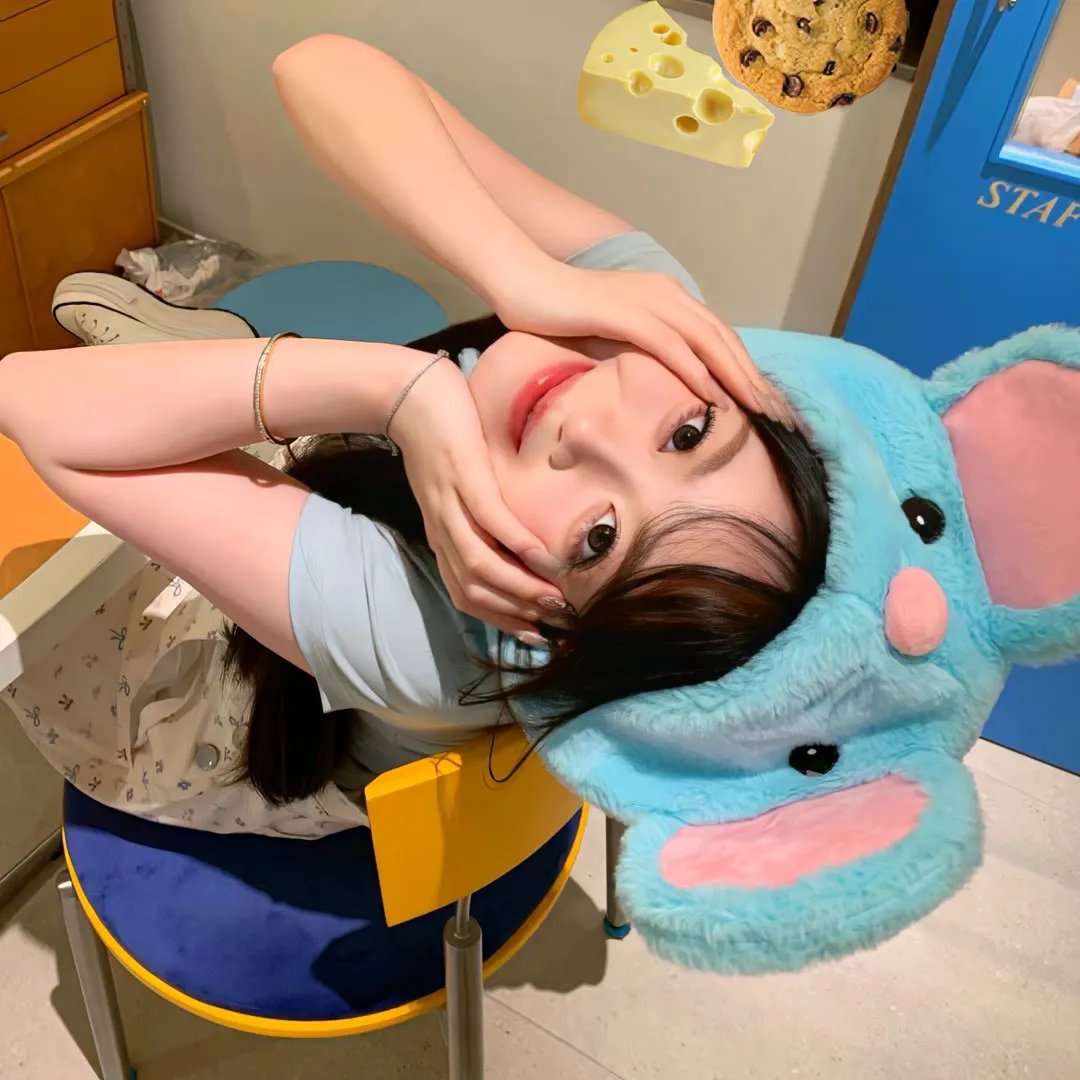 熊出没