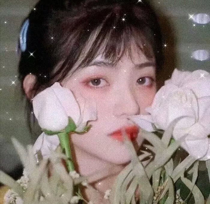 苍蝇之母